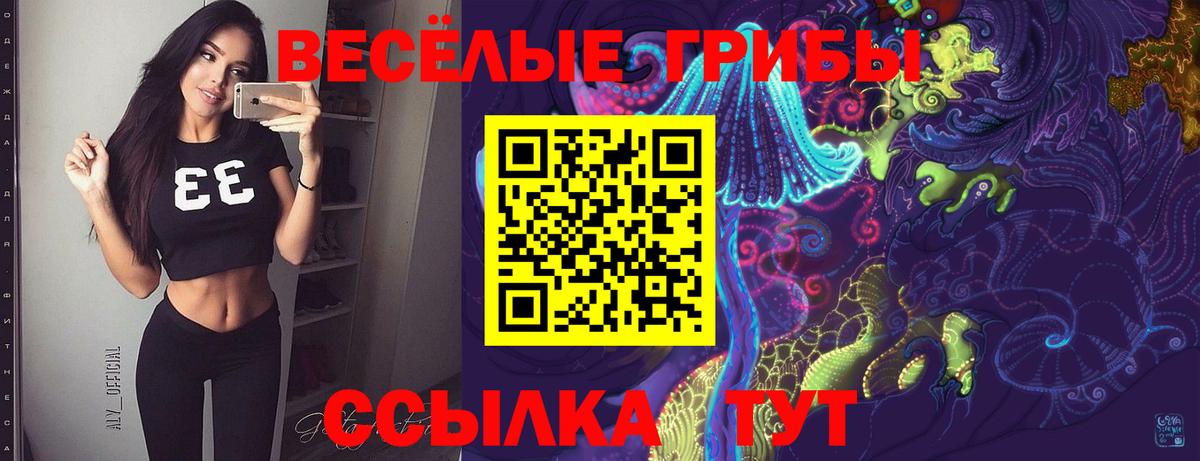 Псилоцибиновые грибы GOLDEN TEACHER  Вход с VPN  Вязники 
